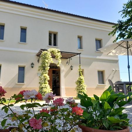 Villa Marietta Country House - Marche Montemaggiore al Metauro Esterno foto