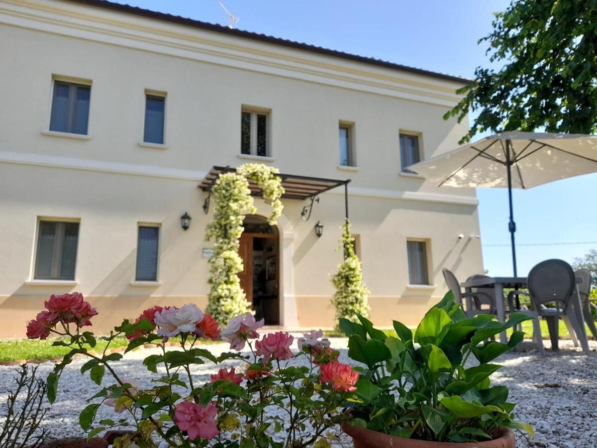 Villa Marietta Country House - Marche Montemaggiore al Metauro Esterno foto