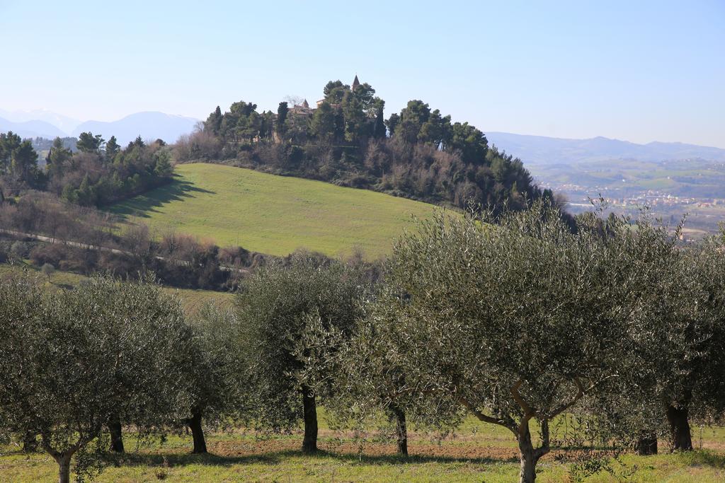 Villa Marietta Country House - Marche Montemaggiore al Metauro Esterno foto