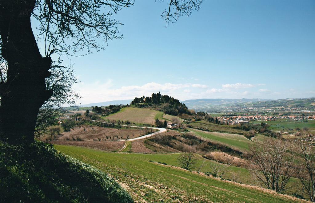 Villa Marietta Country House - Marche Montemaggiore al Metauro Esterno foto